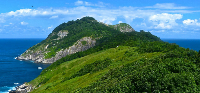 The Perilous Mystique of Snake Island: Nature’s Lethal Haven