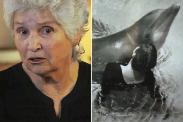 Margaret Howe Lovatt: Exploring the Complex Relationship Between Woman and Dolphin