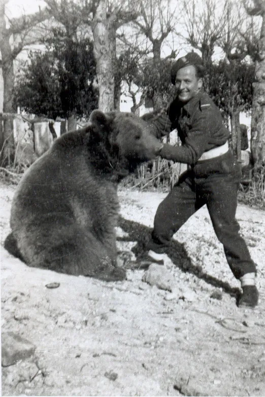 Wojciech the Bear: An Unlikely World War II Hero Who Fought Alongside Soldiers